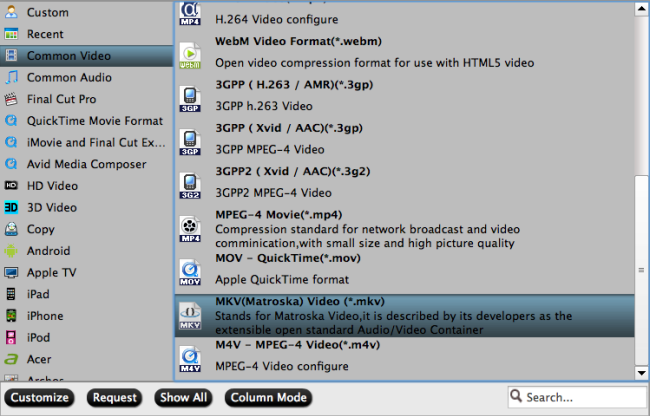 Output MKV file format