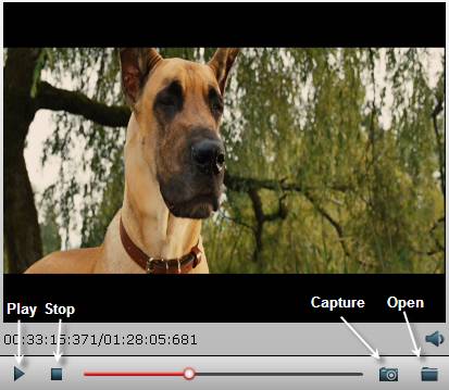 Capture screenshot from DVD