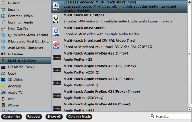 Backup to multi-track video