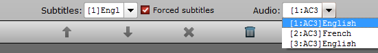 Enable forced subtitle option