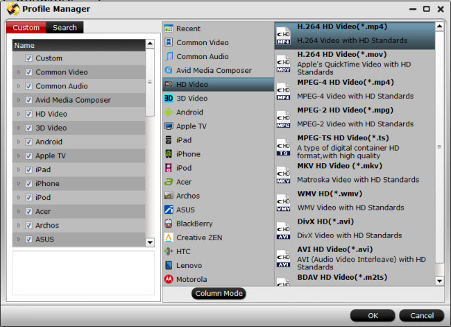 mts m2ts format list