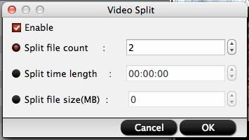 video converter mac video split