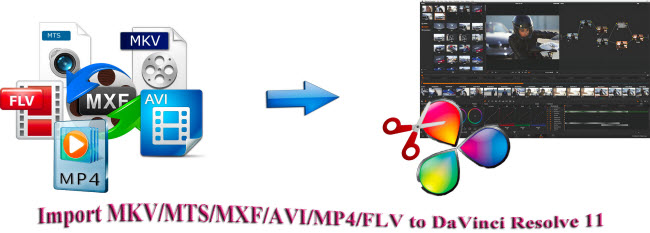 import mkv mp4 mxf avi flv to davinci resolve 11