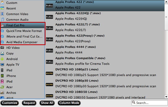 video format supported by editing program
