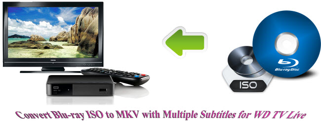 convert blu-ray iso to mkv with multiple subtitles for wd tv live