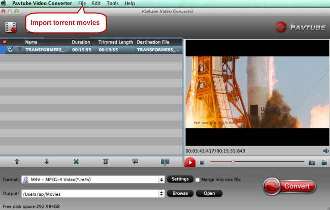 Download Divix Video Player Torrent