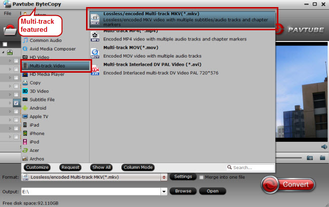 Output Lossless/encoded Multi-track MKV format