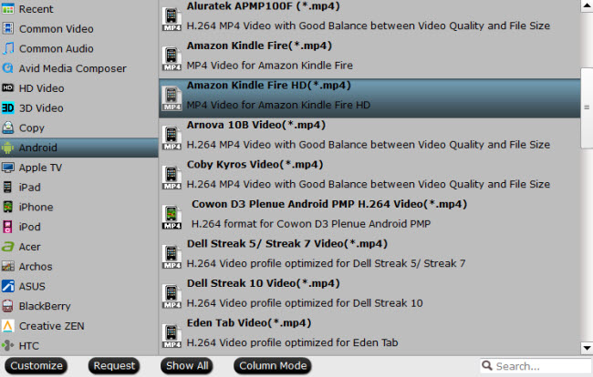 MP4 for Kindle Fire