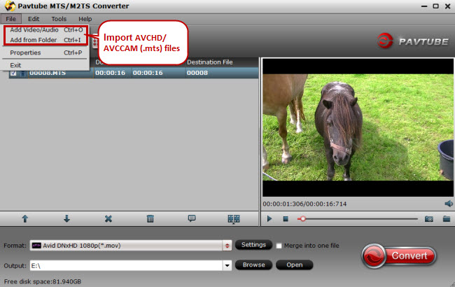 import avchd avccam mts