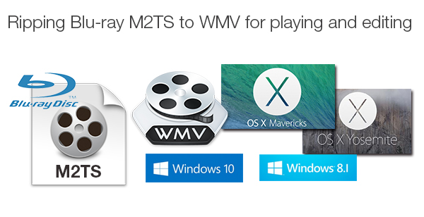 rip blu-ray m2ts to wmv for playback editing