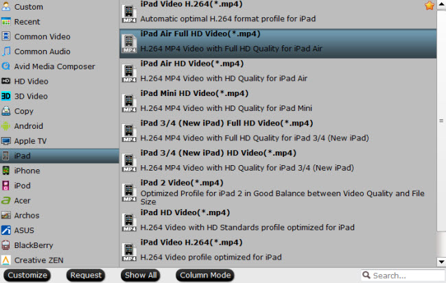 Output iPad preset profile format