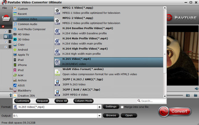 h.265 mp4 output format