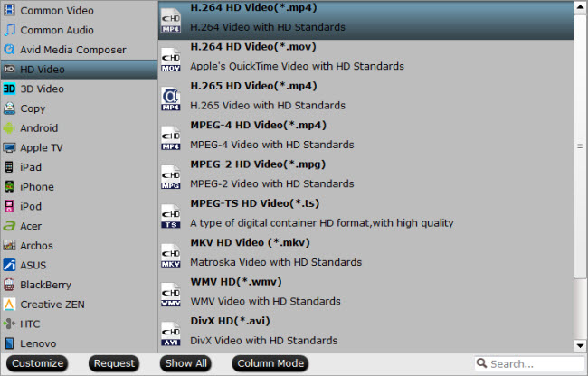 Output GoPro Studio supported editing formats