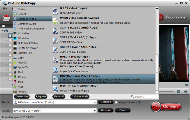 Choose MKV output format