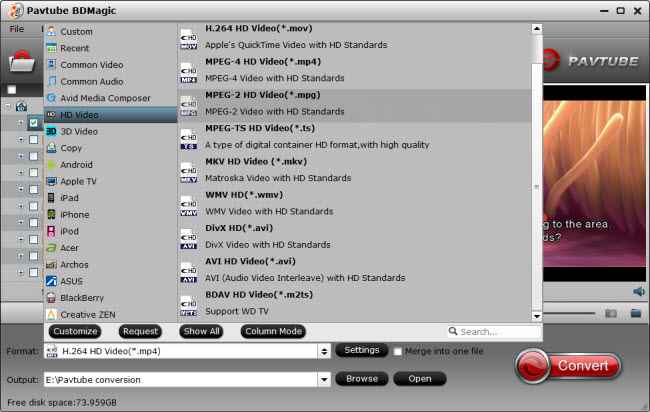 Choose video format for Synology DiskStation DS215j