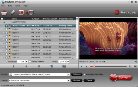 Load DVD disc or Video_TS folder