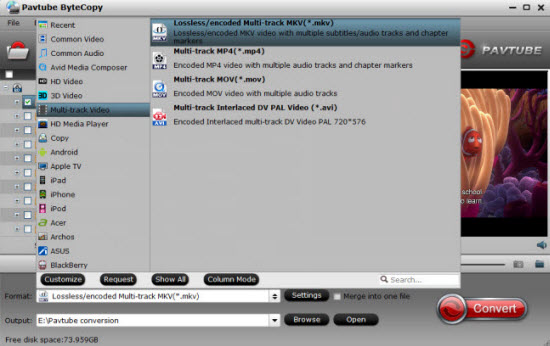 Output lossless multi-track MKV format