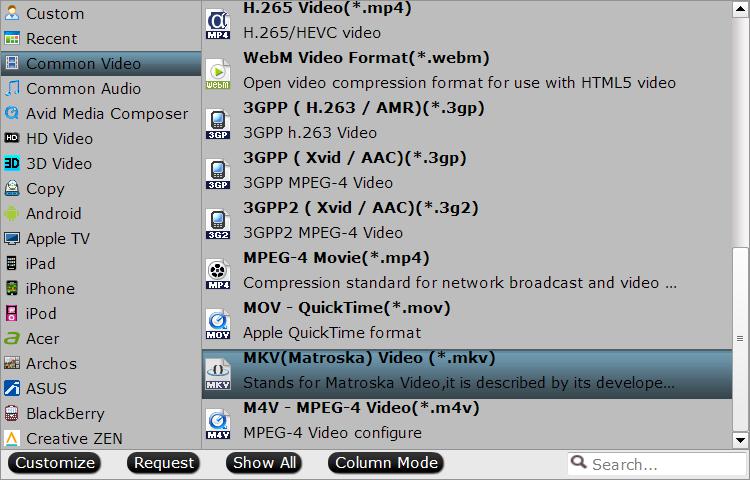 Select MKV as output file format