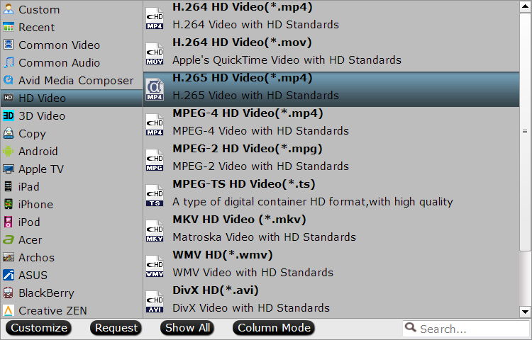 HEVC H265 Converter preset