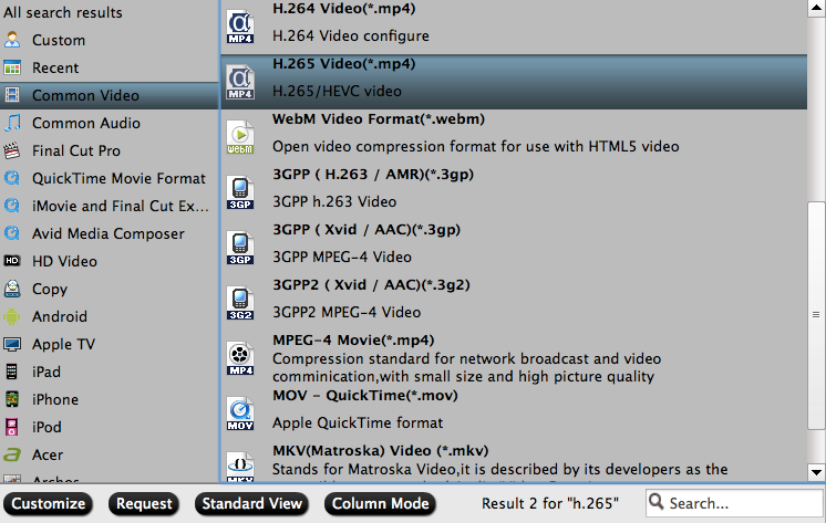 output H.265 MP4 format