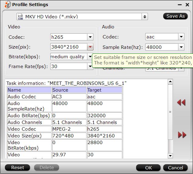 h265-mkv-settings