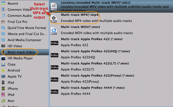 Output Multi-track MP4 format