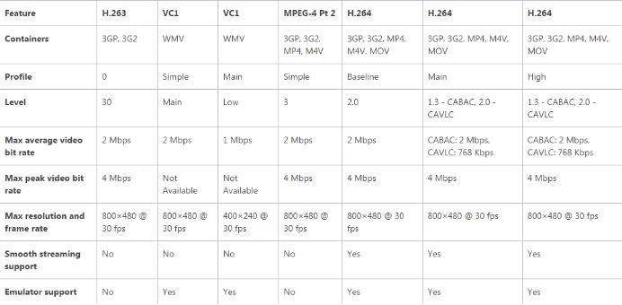 Video codecs supported by the Qualcomm Snapdragon S1