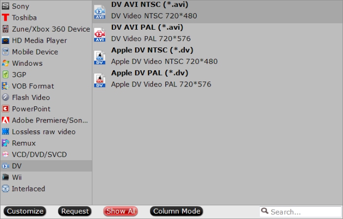 Choose WMM supported DV-AVI format