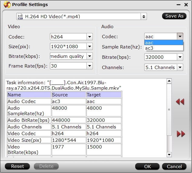 Output Chromecast playable aac audio codec