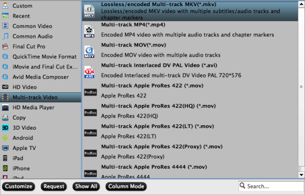 Output lossless multi-track MKV format