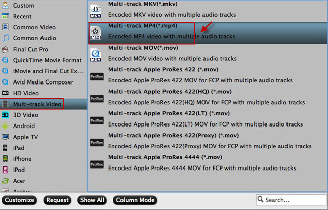 Output multi-track MP4 format