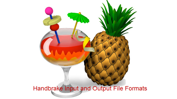 Handbrake Input and Output File Formats