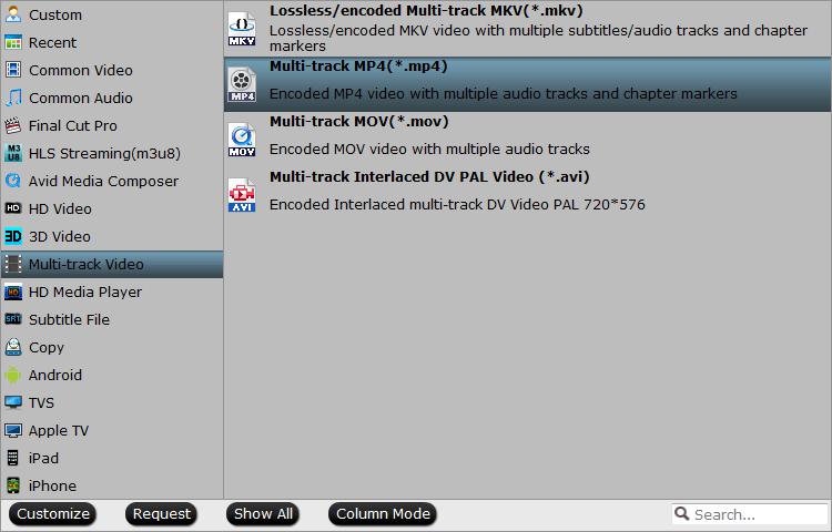 Output multi-track MP4 format