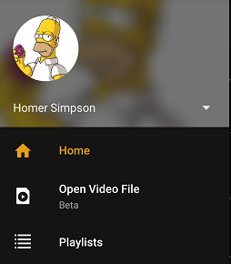 browse video from plex