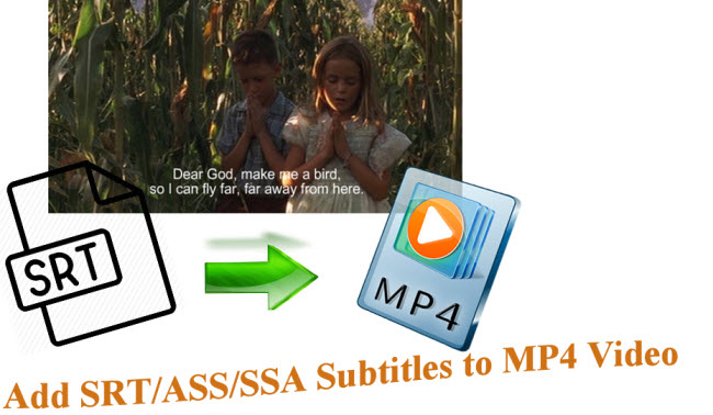 How to Insert SRT/ASS/SSA Subtitles to MP4 Video?