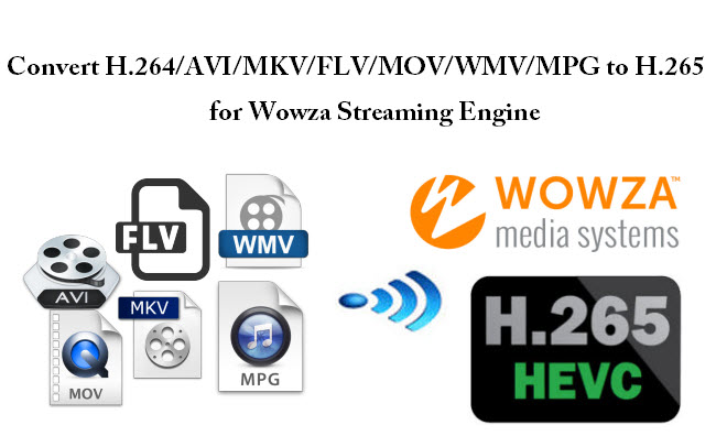 Convert Video to H.265 MP4 to stream on Wowza Engine 4.1