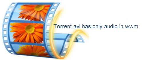 Torrent AVI Movies Has Only Audio in Windows Movie Maker