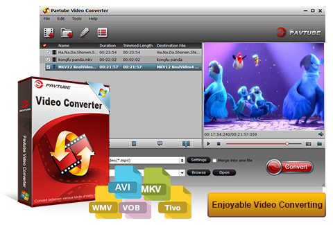 pavtube video converter